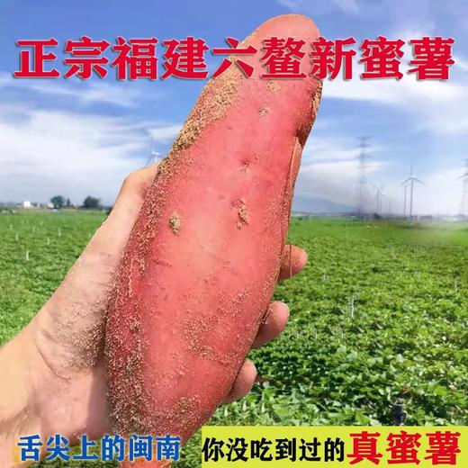 佐禧佑福 六鳌蜜薯红心蜜薯糯香甜地瓜农家种植产地直发（顺丰包邮）六鳌红蜜薯 商品图4