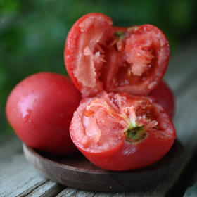 春季西红柿、黄瓜、香菇味正鲜！
