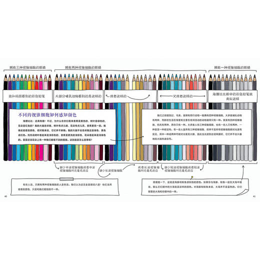 《思考科学的孩子 》（ 全3册）：《用元素积木搭建宇宙》《祖父母的祖父母从哪里来》《眼睛的秘密，只有大脑知道》 商品图7