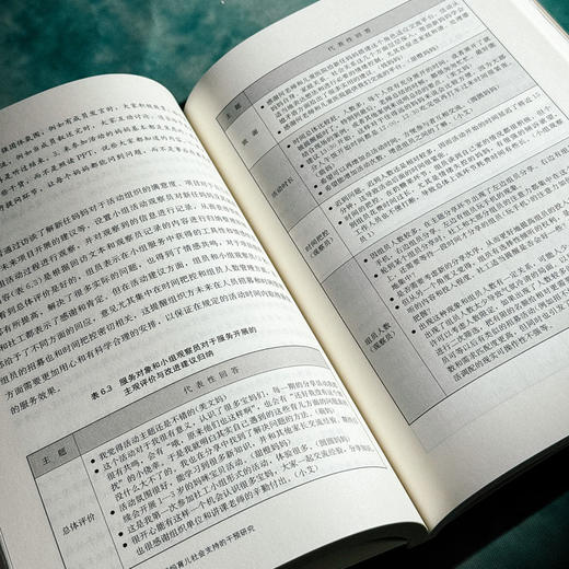 携手共进 新任妈妈育儿社会支持的干预研究 何姗姗 女性产后社会支持 商品图12