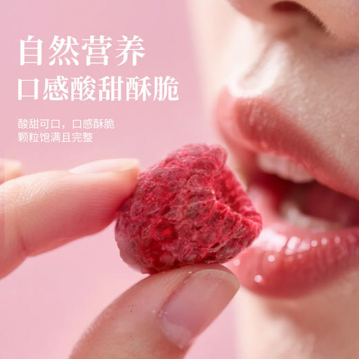 全食物日记 冻干树莓20g 商品图3