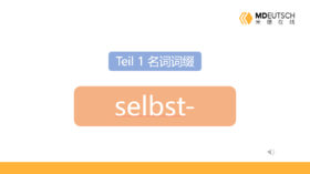 名词前缀 selbst-