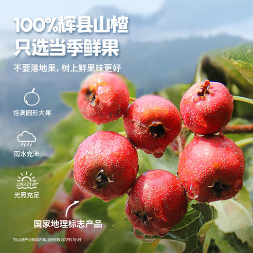 忆小口鲜果山楂棒63g（原味、蓝莓桑葚味、枇杷百香果味） 商品图9