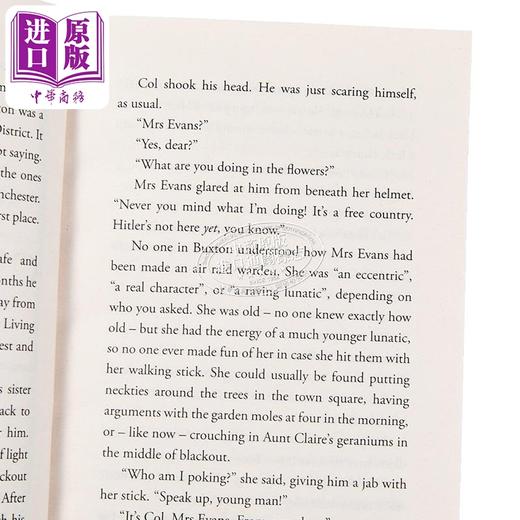 预售 【中商原版】午夜守护者 罗斯 蒙哥马利 The Midnight Guardians 英文原版 Ross Montgomery 魔幻冒险故事 畅销流行小说 商品图2