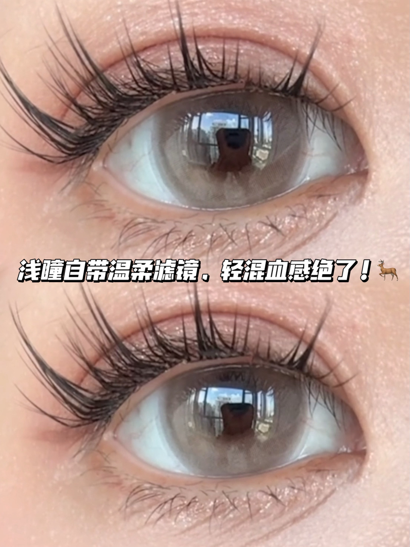 Mary 利亚香草亚麻棕·日抛十片装