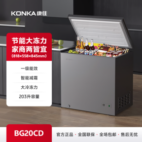 203升大容量家用商用小型冷柜 BG20CD