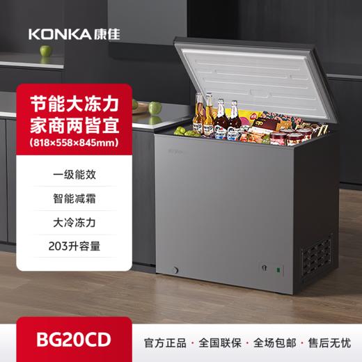 203升大容量家用商用小型冷柜 BG20CD 商品图0