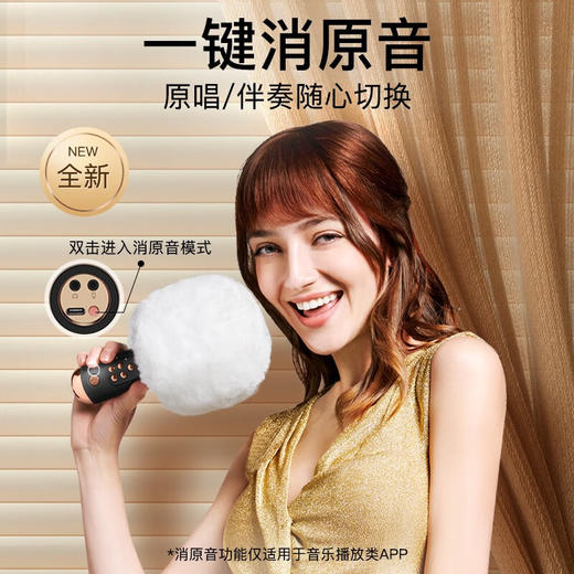 唱吧精灵麦克风G3 升级版 商品图2