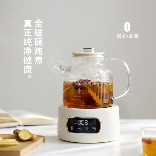 olayks.立时1.2L全玻璃养生壶OLK-LP-22 商品图1