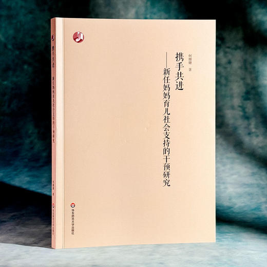 携手共进 新任妈妈育儿社会支持的干预研究 何姗姗 女性产后社会支持 商品图3