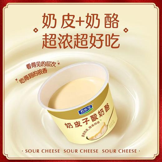 君乐宝120g奶皮子酸奶酪 商品图1