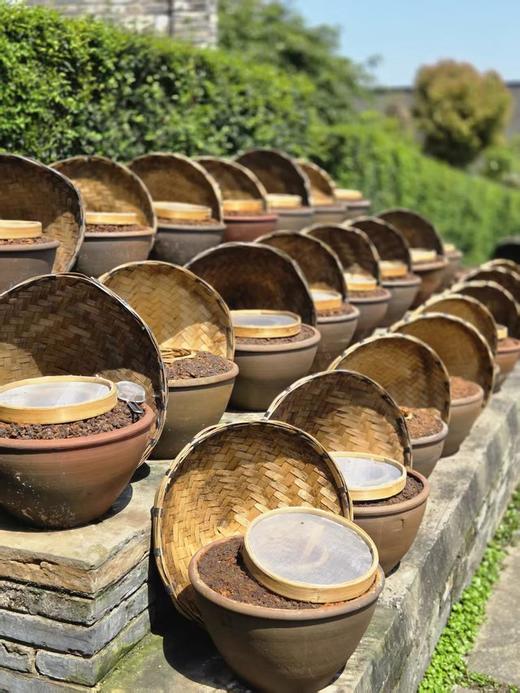 先市酱油（中国非遗） 商品图8