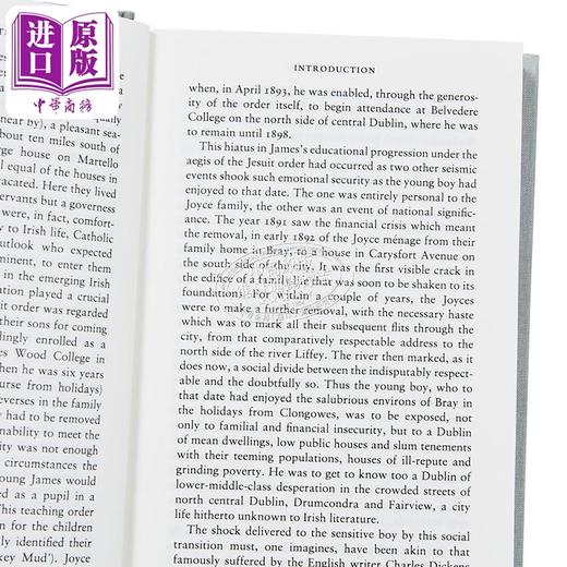【中商原版】企鹅布面经典系列 都柏林人 Dubliners 英文原版 詹姆斯 乔伊斯 James Joyce 尤利西斯作者 Penguin Clothbound 商品图2