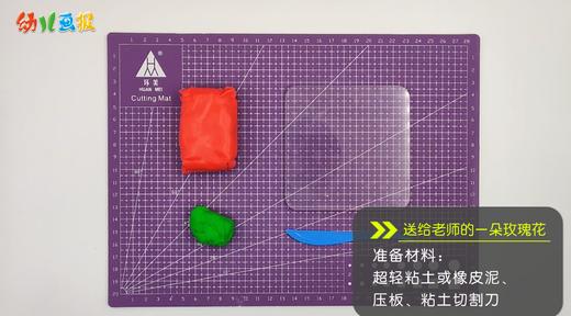 2025年9月 送给老师的一朵玫瑰花 商品图0