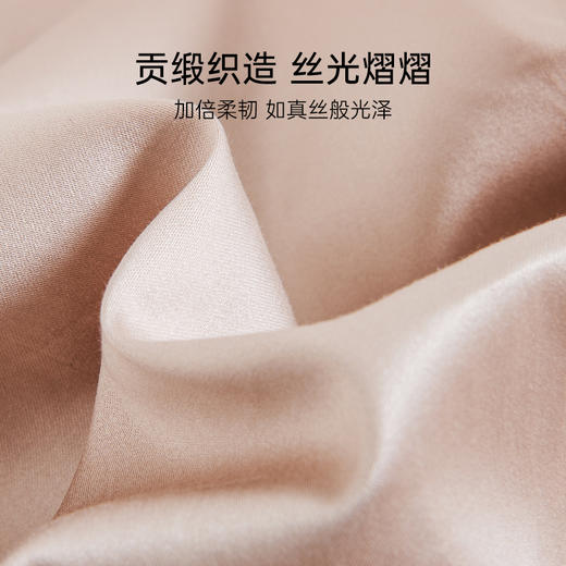 雅芳婷100S埃及长绒棉床上四件套床笠款全棉简约轻奢蕾丝被套套件 商品图3