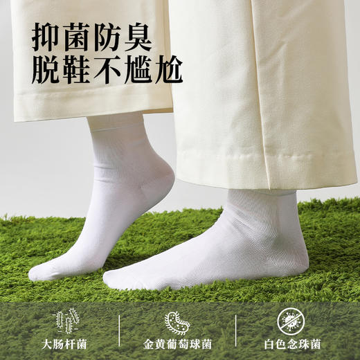 艾草纤维袜子 5双装 商品图3
