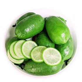 佐禧佑福 海南香水柠檬 无籽青柠檬 子弹头柠檬 新鲜水果