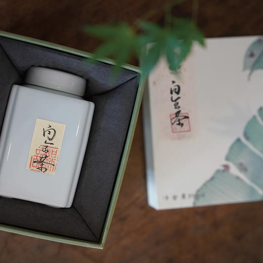 梅记特音 音韵本真 非标珍品100g 当季安溪铁观音乌龙茶 商品图2