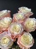 厄瓜多尔进口染色玫瑰AURORA BOREAL粉色欧诺拉北极光10支 商品缩略图1