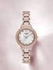 E ARMANI 手表女  AR70018-F .【不退不换，介意勿拍】 商品缩略图0