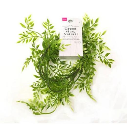 大创DAISO.绿藤(自然) 商品图0