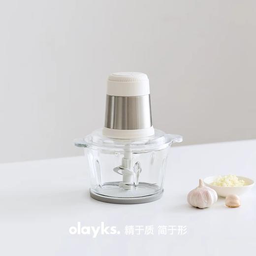 olayks.立时2L多功能绞肉机OLK-LP-21 商品图7