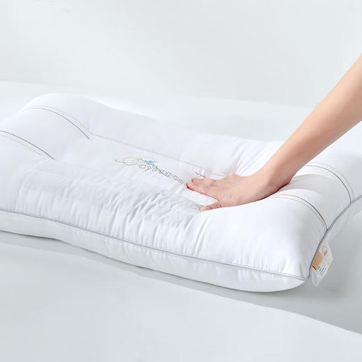 孚日家纺 决明子香氛枕 商品图7