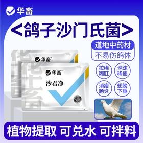 华畜沙君净鹦鹉赛鸽鸽子沙门氏菌大肠杆菌副伤寒绿便歪脖调肠道用