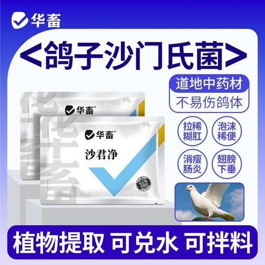 华畜沙君净鹦鹉赛鸽鸽子沙门氏菌大肠杆菌副伤寒绿便歪脖调肠道用 商品图0