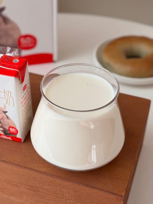 水牛满满5.0水牛纯牛奶 | 口口丝滑，自然甘甜，唇齿留香，男女老少都适合 商品图11