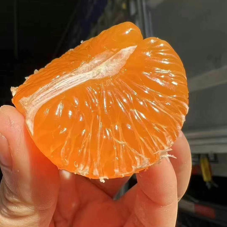 一口蜜涌泉蜜桔 甜润爽口
🔥🔥🔥不打蜡，不催熟，瓣瓣水嫩，放入舌尖轻轻一咬香甜的果汁在口中爆浆💦