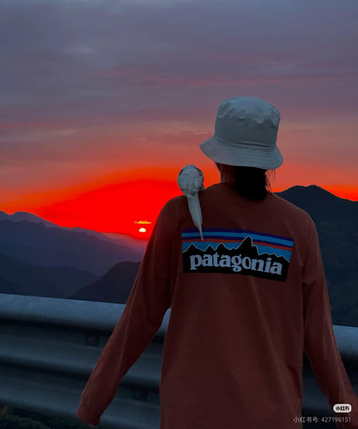 巴塔哥尼亚长袖T恤082703 商品图12