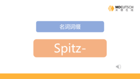 名词前缀 spitz-