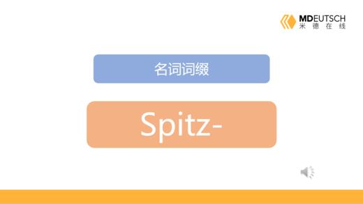 名词前缀 spitz- 商品图0