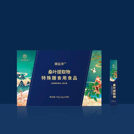 糖益净 特殊膳食用食品 商品图0