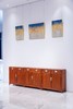 红桥红  家具严选  缅甸花梨（大果紫檀）【98两抽 餐边柜】 商品缩略图1