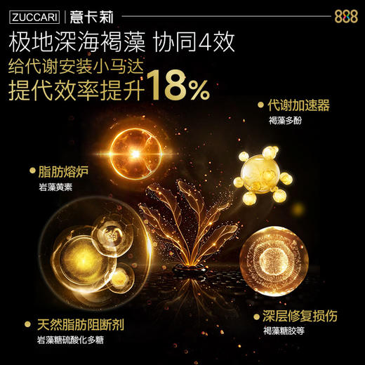 保税直发 ZUCCARI 意卡莉 888代谢饮 888mL/瓶 2.0金装版 1瓶装/2瓶装/3瓶装/6瓶装 商品图7