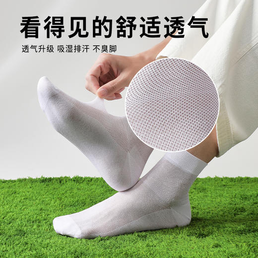 抵羊薄款袜子 商品图3