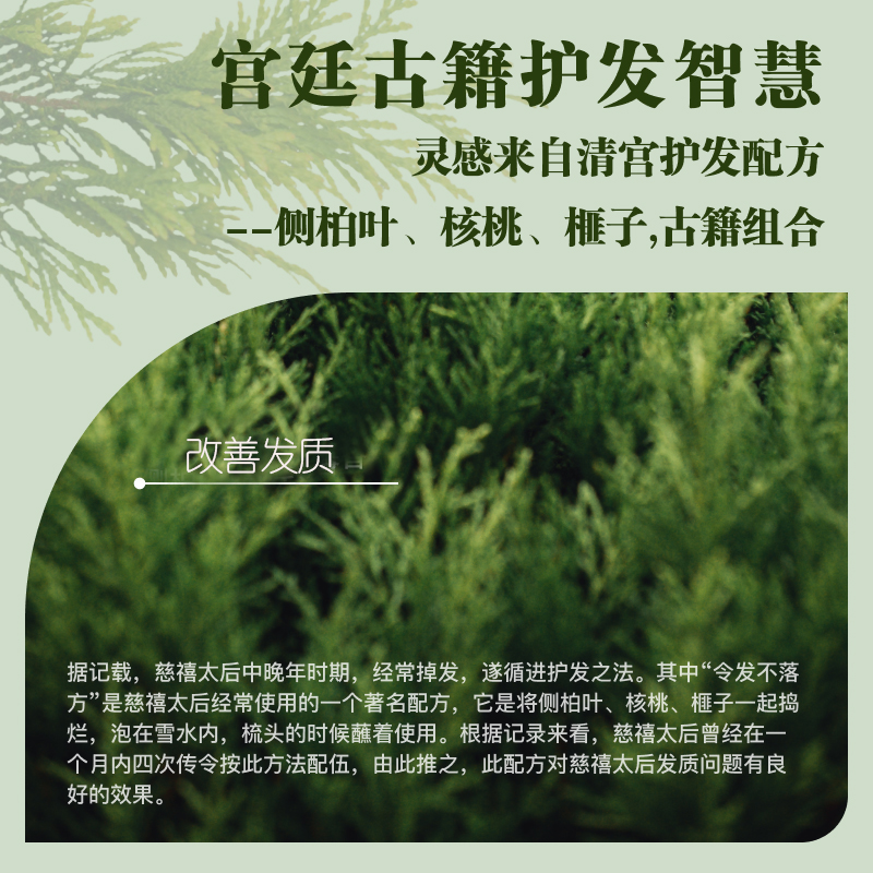 芙本天然侧柏叶核桃榧子洗发皂