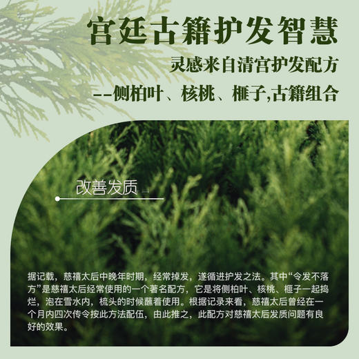 芙本天然侧柏叶核桃榧子洗发皂 商品图0