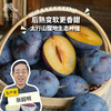 生态西梅 | 合作生产 *Eco-prunes  | Partner Production 商品缩略图0