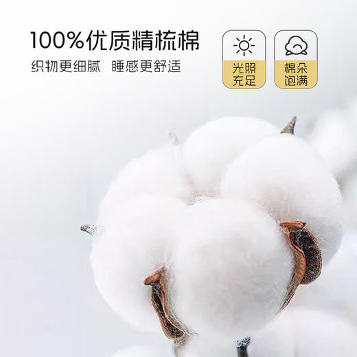 2025年新款雅芳婷青少年系列全棉床上四件套纯棉床笠款ins风套件 商品图1