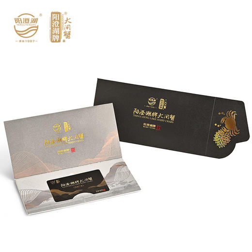 阳澄湖牌 真情永伴 538型 商品图1