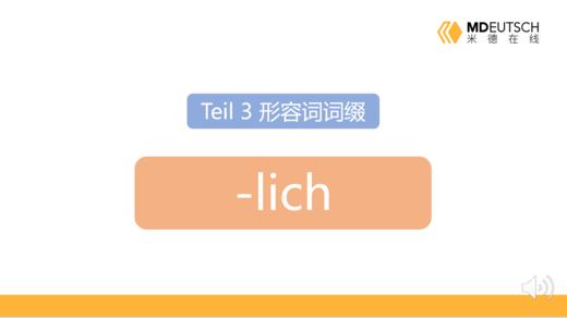 形容词后缀 -lich 商品图0