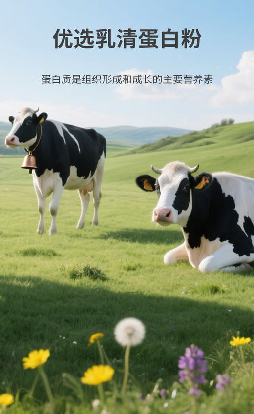 SC  优乐健氨基酸蛋白质粉    有效期20280229 商品图3