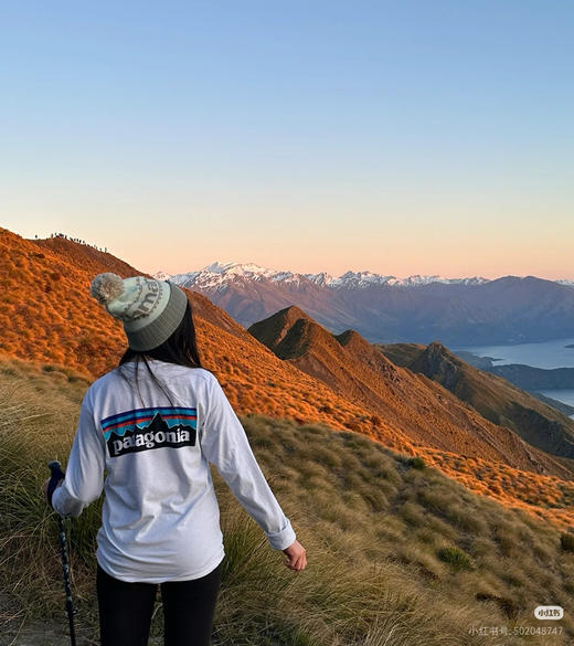 巴塔哥尼亚长袖T恤082703 商品图1