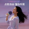 唱吧 小巨蛋麦克风 G2 504B 商品缩略图6