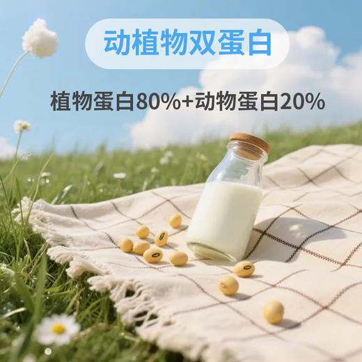 SC （食品）优乐健叶酸多维蛋白质粉 有效期20280129 商品图11