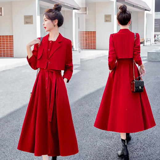 HR CPYY22031新款气质高级感马甲衬衫裙两件套 商品图1