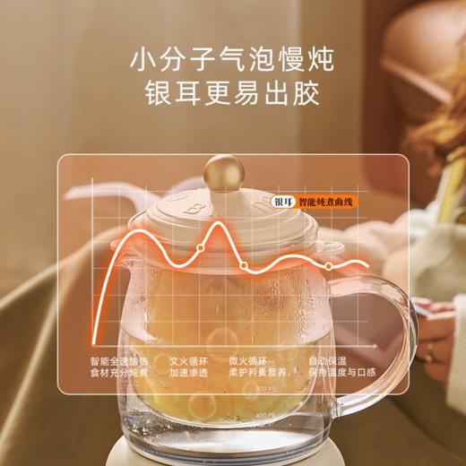 BRUNO养生壶纯钛炖煮一体家用多功能小型办公室迷你煮茶电热水壶 商品图3